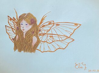 Fairy