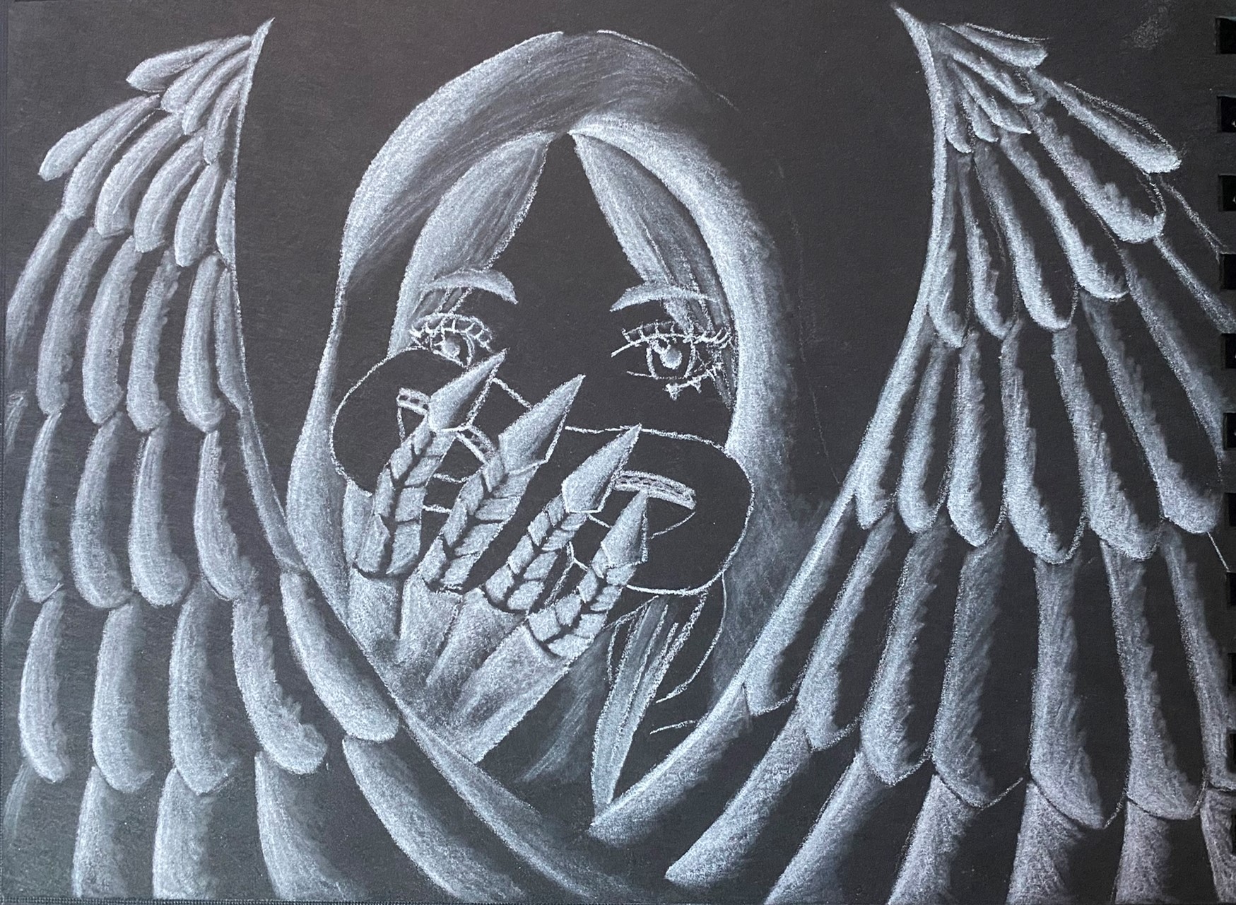 Painted Raven