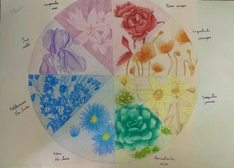 Roue des fleurs